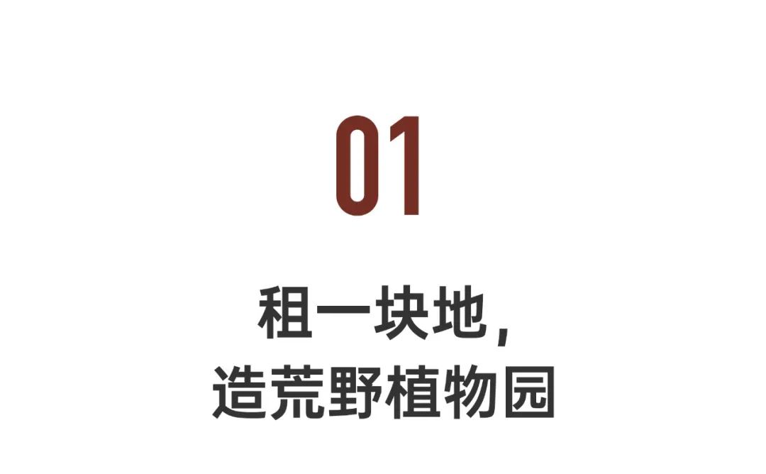 1661312883136960.jpg 1661312883136960.jpg
